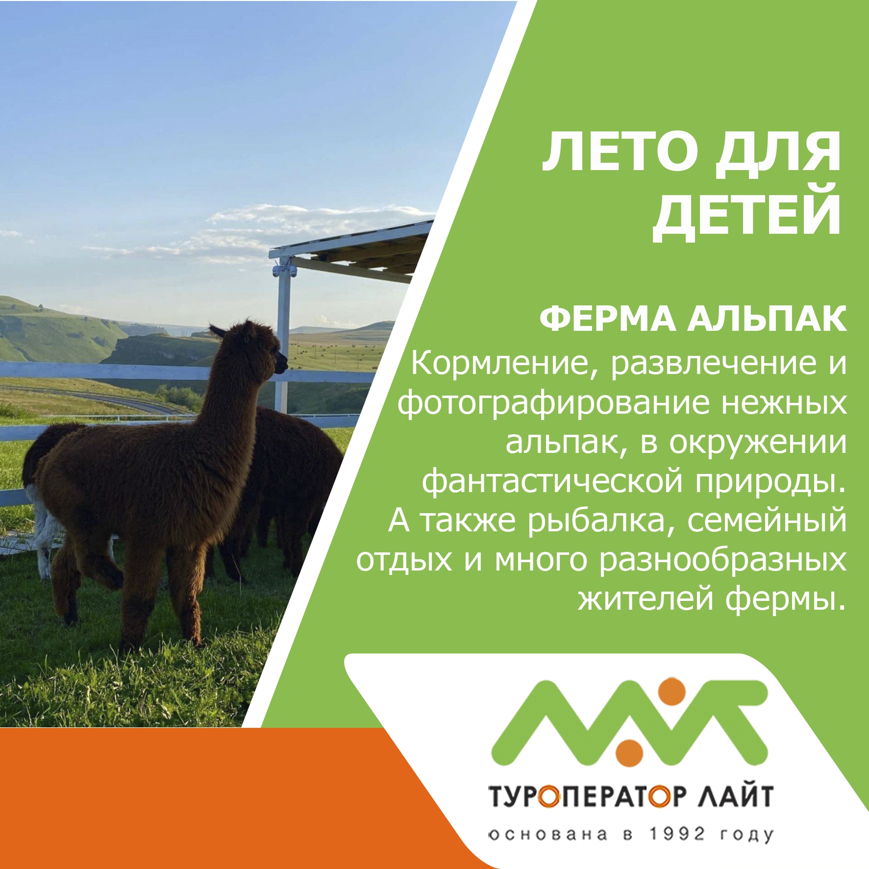 Ферма Альпак на Медовых водопадах — каждый день!